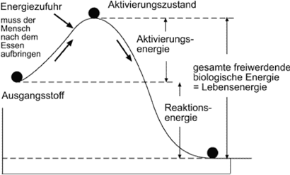 biologische energie 1