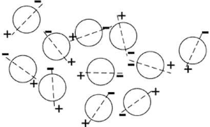 biologische energie 2